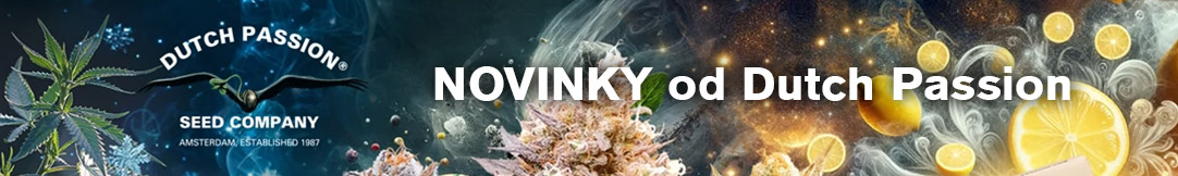 New-varieties-blog-dutch-passion-dlouhy